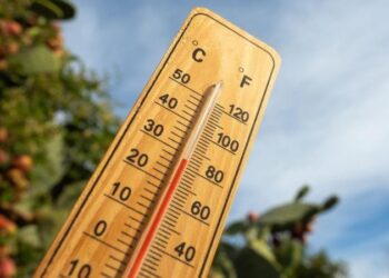 उष्णतेची लाटः 3 दिवसांत उष्माघातामुळे 50 हून अधिक मृत्यू