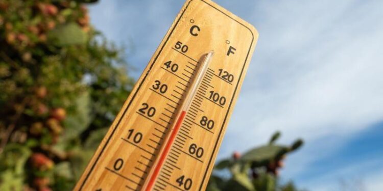 उष्णतेची लाटः 3 दिवसांत उष्माघातामुळे 50 हून अधिक मृत्यू