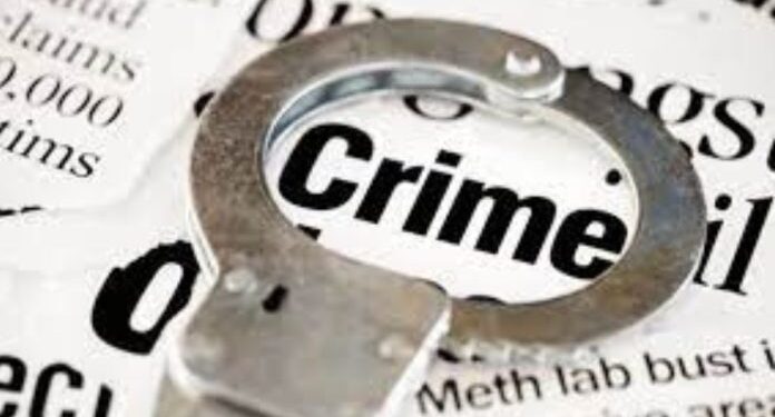 अल्पवयीन मुलासोबत केले अनैसर्गिक कृत्य