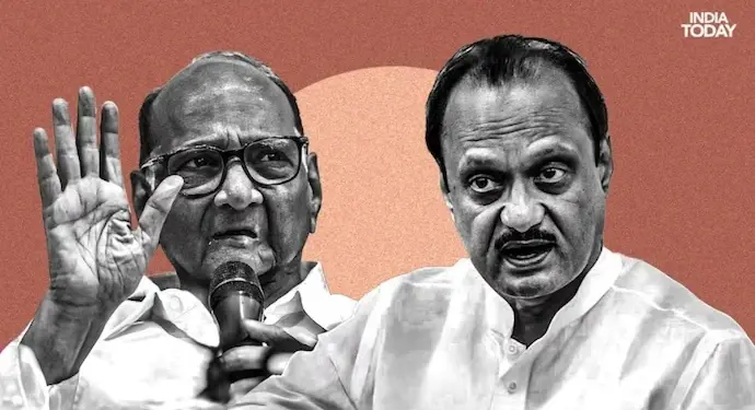 विधानसभा निवडणुकीपूर्वी शरद पवार आणि अजित पवार एकत्र येतील; राष्ट्रवादीच्या आमदाराचे मोठे विधान