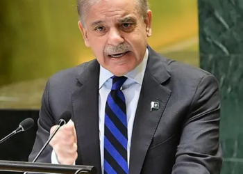  “भारताने जर आमचं पाणी रोखलं तर…”; पाकिस्तानचे पंतप्रधान शाहबाज शरीफांचे मोठे विधान