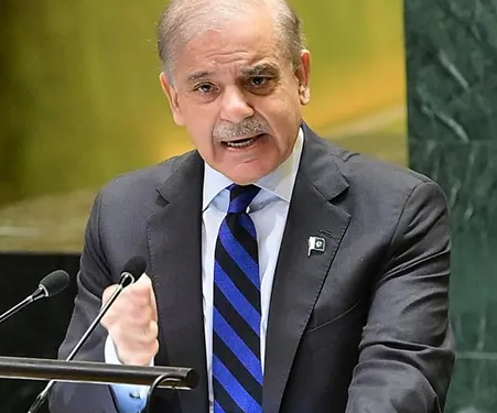  “भारताने जर आमचं पाणी रोखलं तर…”; पाकिस्तानचे पंतप्रधान शाहबाज शरीफांचे मोठे विधान