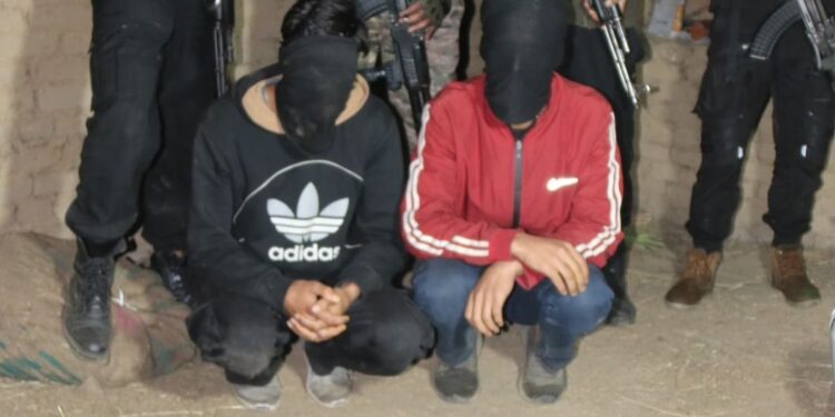 जम्मु-काश्मिरच्या शोपियानमधून लष्कर-ए-तैयबाचे ‘हायब्रीड दहशतवादी’ सुरक्षा दलांना शरण; कोण आहेत हे दहशतवादी?