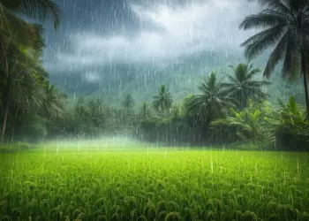 नगर जिल्ह्यात वादळी पावसात आतापर्यंत 7 जणांचे बळी 